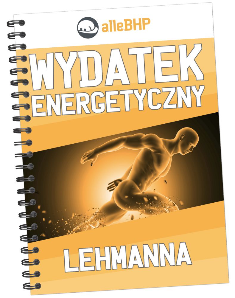 Ślusarz-spawacz - Wydatek energetyczny metodą LEHMANNA