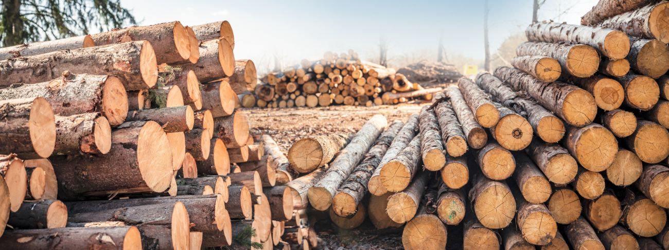 Obróbka drewna: Jak dbać o bezpieczeństwo w dynamicznym środowisku pracy?
