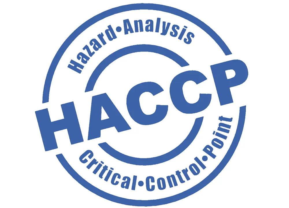 Lody amerykańskie - Księga HACCP + GHP-GMP dla lodziarni z lodami amerykańskimi