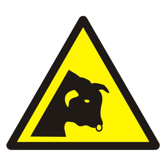Znak BHP - ostrzeżenie przed bykiem