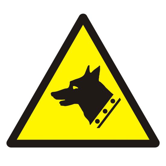 Znak BHP - ostrzeżenie przed złym psem