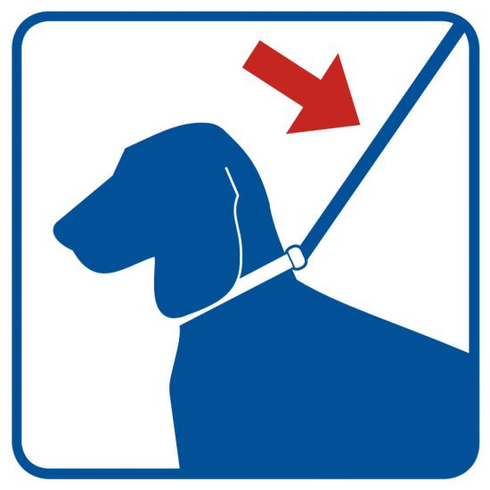 Piktogram - prowadź psa na smyczy