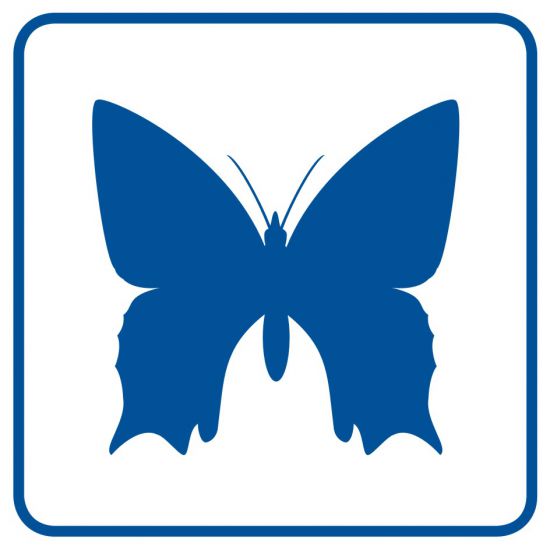 Piktogram - rzadkie okazy motyli