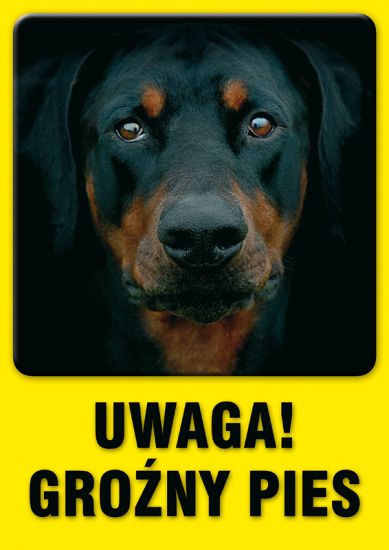 Znak - UWAGA! Groźny pies 4