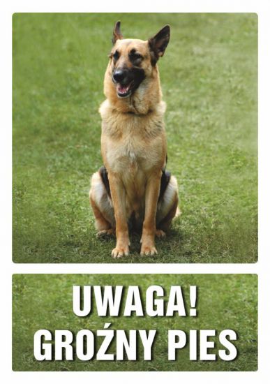 Znak - UWAGA! Groźny pies 5