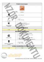 Agent usług artystycznych - Ocena Ryzyka Zawodowego metodą RISK SCORE