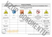 Artysta muzyk wokalista - Ocena Ryzyka Zawodowego metodą RISK SCORE