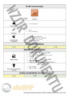 Artysta muzyk wokalista - Ocena Ryzyka Zawodowego metodą RISK SCORE