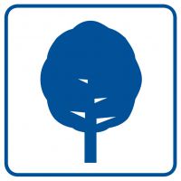 Piktogram - drzewa liściaste