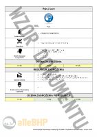 Giloszer poligraficzny - Ocena Ryzyka Zawodowego metodą RISK SCORE