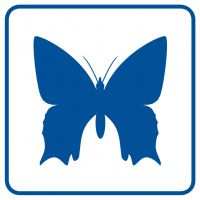 Piktogram - rzadkie okazy motyli