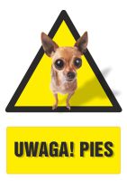 Znak - UWAGA! Pies 2
